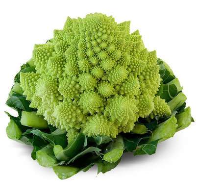 Chou romanesco BIO (petit calibre), France