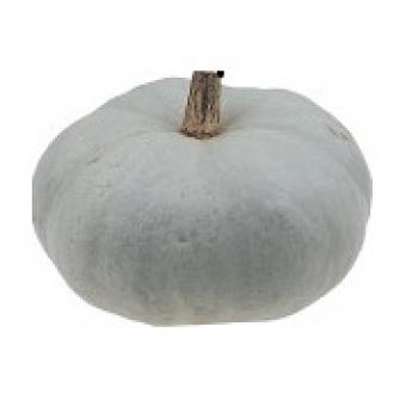 Courge Bleue de Hongrie BIO (calibre moyen), France