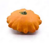Courge pâtisson BIO, France