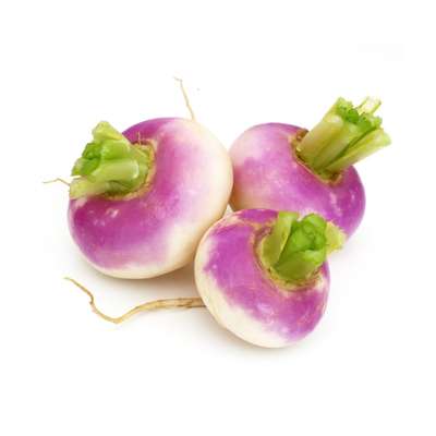 Navet violet du Loir-et-Cher, France