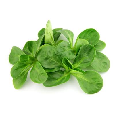 Salade Mâche Bio, Barquette de 100g