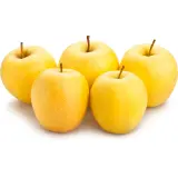 CULTIVONS LE BON Pommes rustiques bio