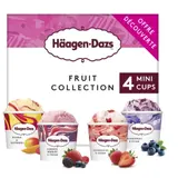 Glace en Pot Fruit Collection HAAGEN-DAZS