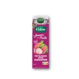 Jus de Fruits Fruit du Dragon Goyave sans Sucres Ajoutés CIDOU