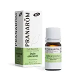 Huile essentielle Inule Odorante Sommité Fleurie Bio PRANAROM
