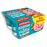 Brassé végétale lait de coco, fraise ANDROS GOURMAND&VEGETAL 4x100Goffre découverte