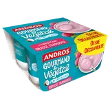 Brassé végétale lait de coco,framboise ANDROS GOURMAND&VEGETAL 4x100goffre découverte