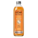 Boisson Fermentée Shot-Biotic Immunity Carotte, Citron, Gingembre UCHA