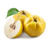 Coing BIO (pack de 1 Kg), France