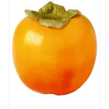 Kaki