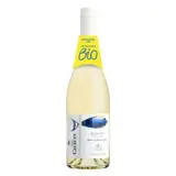 Domaine Pierre Chavin Vin Sauvignon Blanc 9° Bio Bouteille 75cl