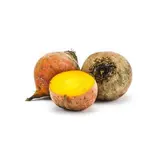 Betterave jaune BIO du Finistère Nord - Direct producteur, France