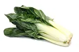 Blette pied en botte BIO du Finistère nord - direct producteur (calibre moyen), France