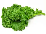 Botte de chou Kale de Provence - direct producteur, France