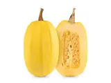 Courge spaghetti de Provence - direct producteur (1.4 à 2 Kg) (gros calibre), France