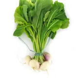 Fermes Debout  Navet Botte Local, Botte de 600g