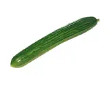 Concombre long lisse BIO (gros calibre), Espagne