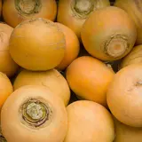 Navet Boule d'Or