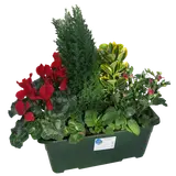 Composition 4 plantes jardinière 40 cm France