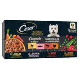 Pâtée Pour Chien Adulte Casserole En Sauce Sans Céréales Poulet Dinde Boeuf Saumon Natural Goodness CESAR