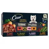 Pâtée pour Chien Adulte Terrine Sans Céréales Boeuf Volaille Saumon Dinde CESAR