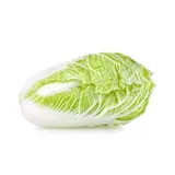 Chou chinois Pe-Tsaï BIO du Finistère Nord - Direct producteur (2.1 à 2.5 Kg) (très gros calibre), France