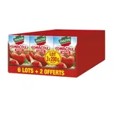 Sauces  tomates PANZANI