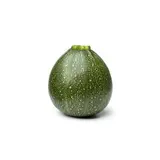 Courgette ronde verte (petit calibre), Espagne