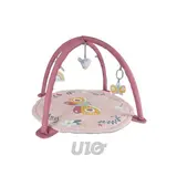 BEBE DOUCEUR Tapis d'Éveil Avec Arches, 1 pièce