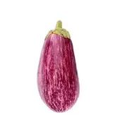 Aubergine zébrée ou "graffiti" (150 à 300 g) (petit calibre), France