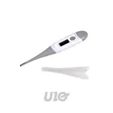 BEBE DOUCEUR Thermomètre À Lecture Digitale bébé 13cm Gris, 1 pièce