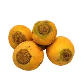 Navets jaunes Boule d'Or bio origine France